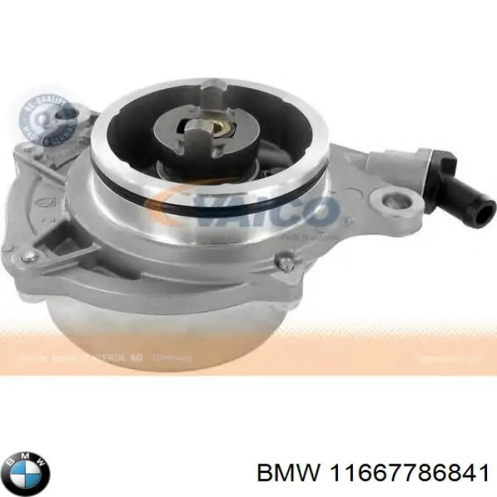  11667786841 BMW