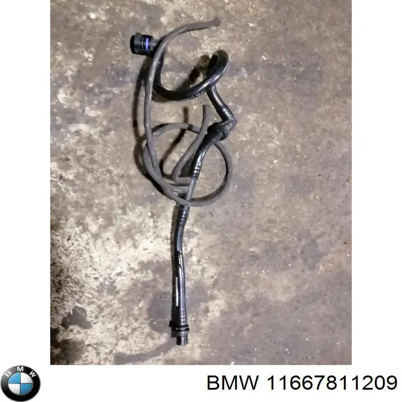  11667811209 BMW