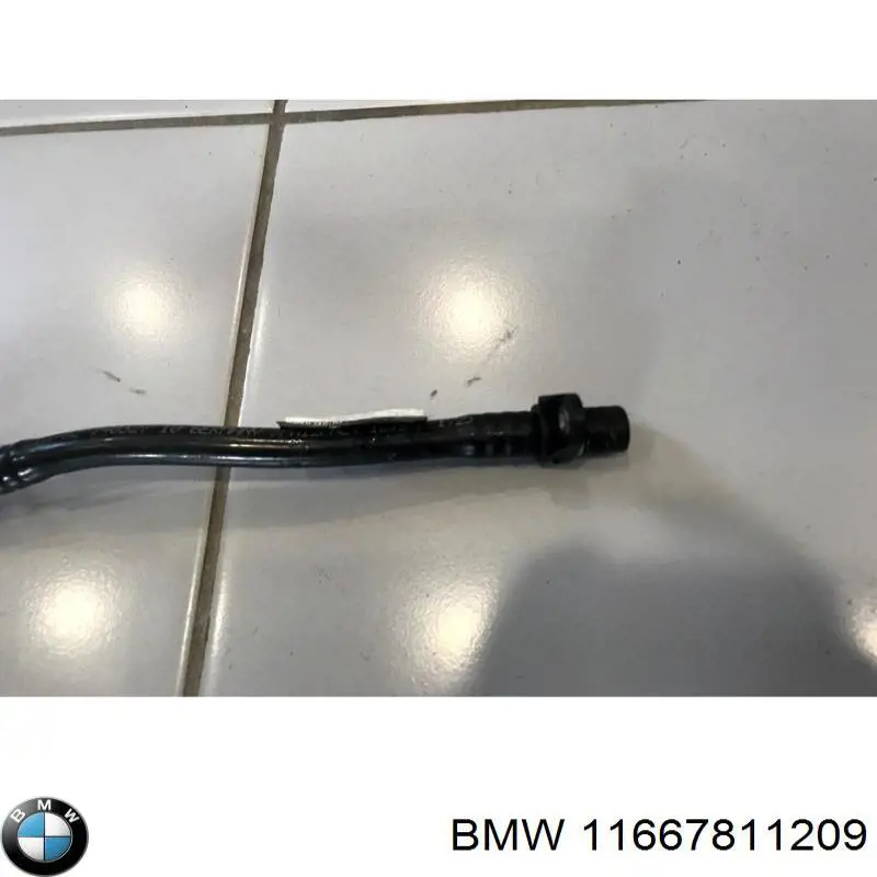 11667811209 BMW 