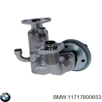Купити 11717800653 BMW Радіатор системи EGR рециркуляції вихлопних газів