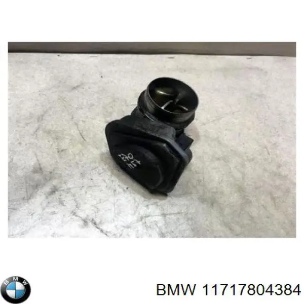 Купити 11717804384 BMW Дросільна заслінка