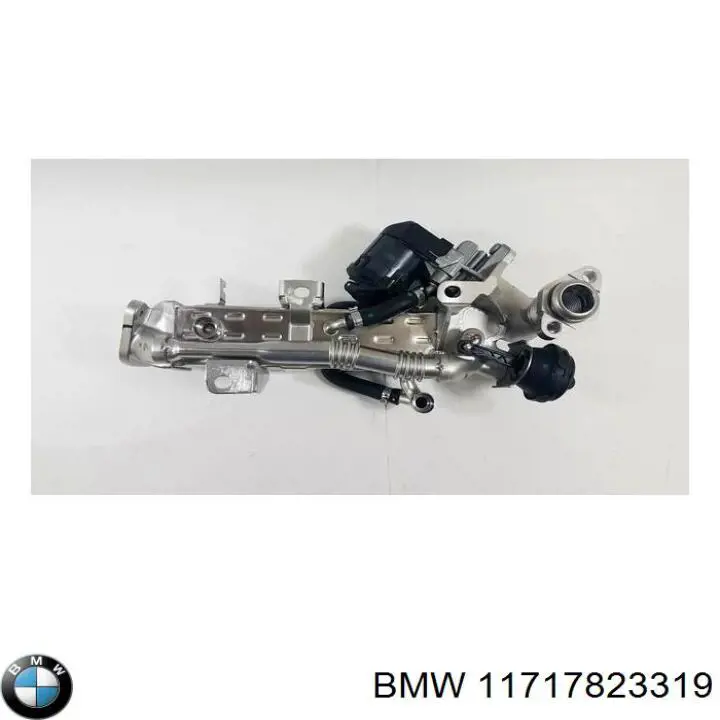  11717823319 BMW