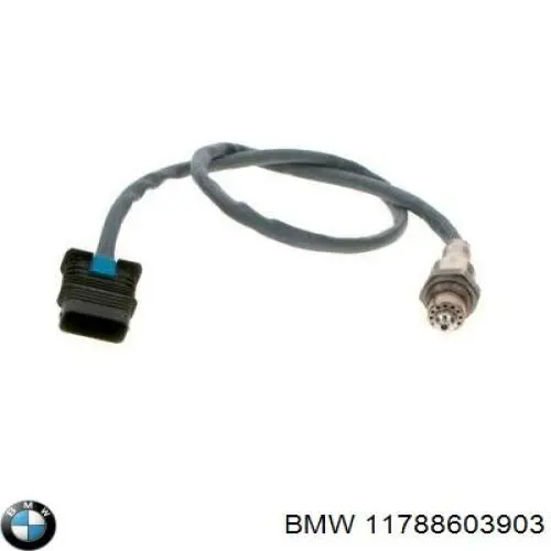  11788603903 BMW