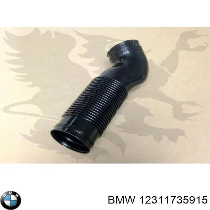  12311735915 BMW