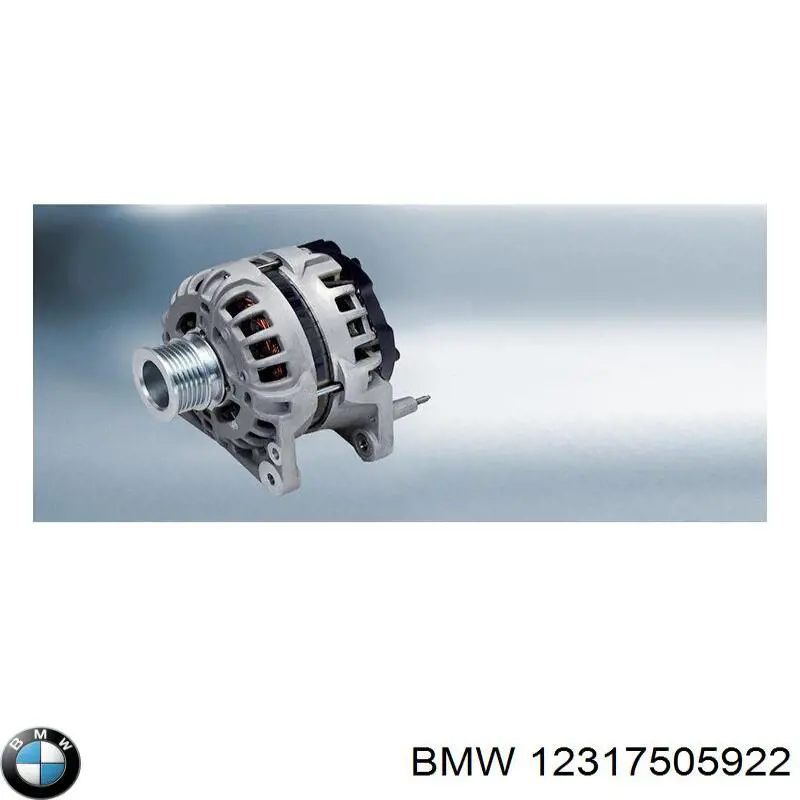 13317540656 BMW Реле-регулятор (напруги)