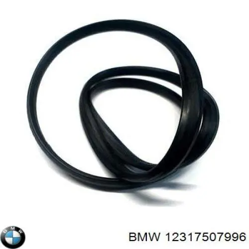 Купити 12317507996 BMW Прокладка-кільце генератора з водяним охолодженням