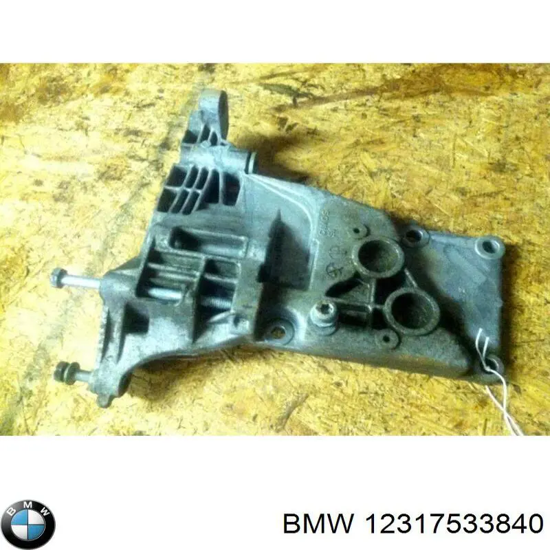 12317533840 BMW 