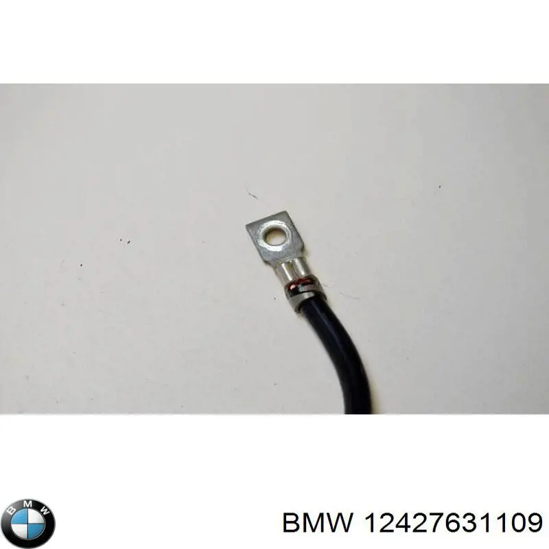 12427631109 BMW Авто акумулятор