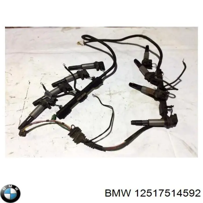  12517516829 BMW