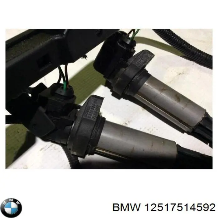 12517516829 BMW 