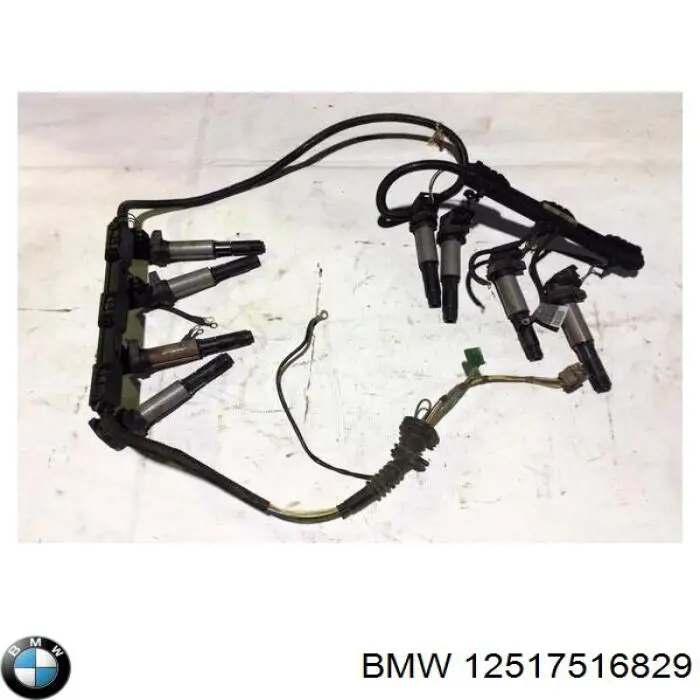 12517516829 BMW 