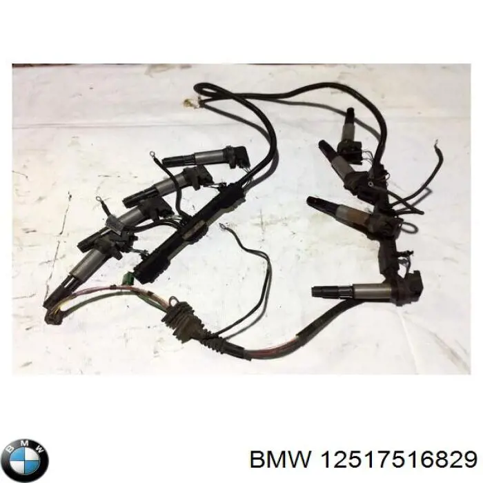  BMW 12517516829 ціна, від 62.70 USD