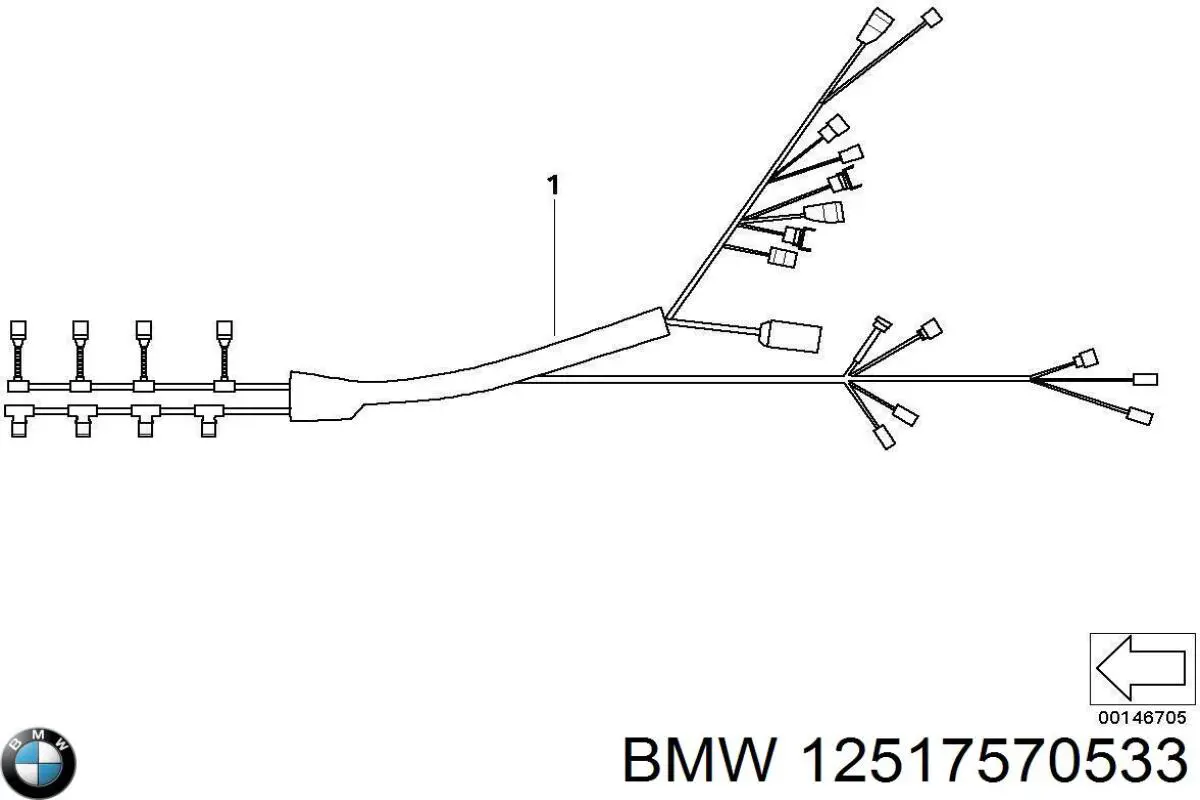 12517570533 BMW 
