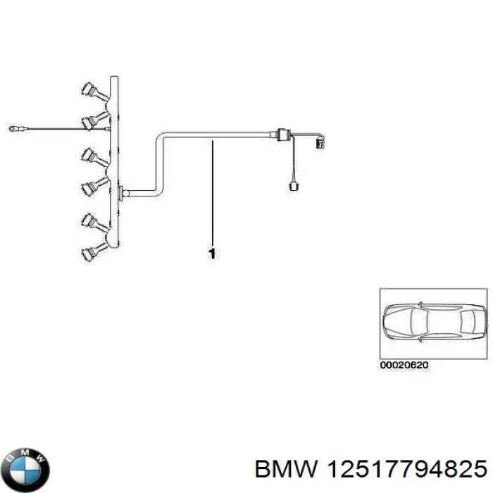 12517794825 BMW 