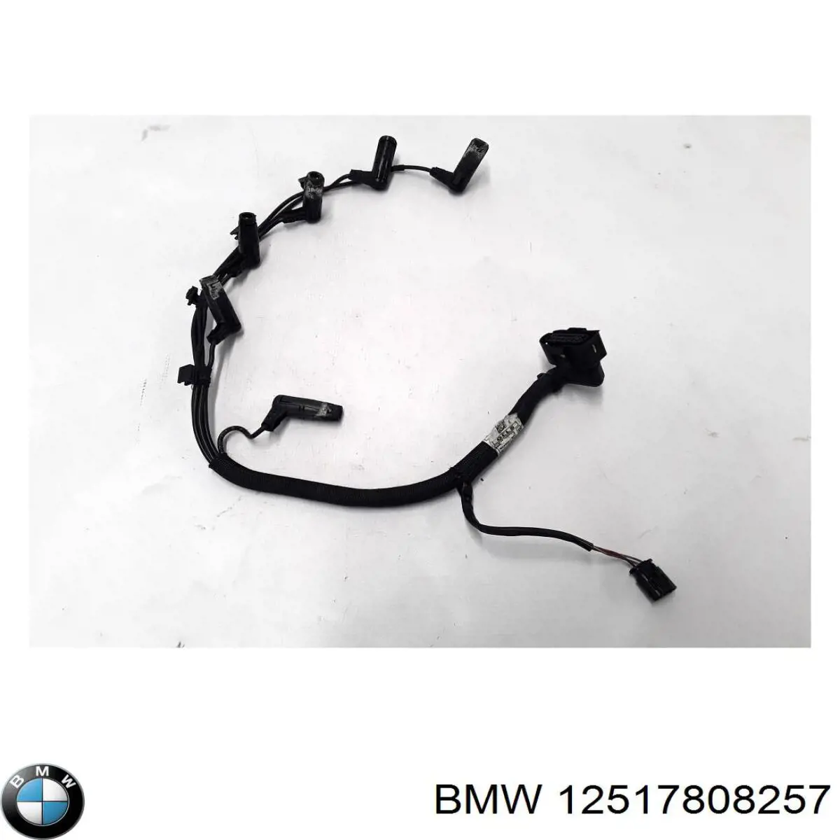  12517808257 BMW