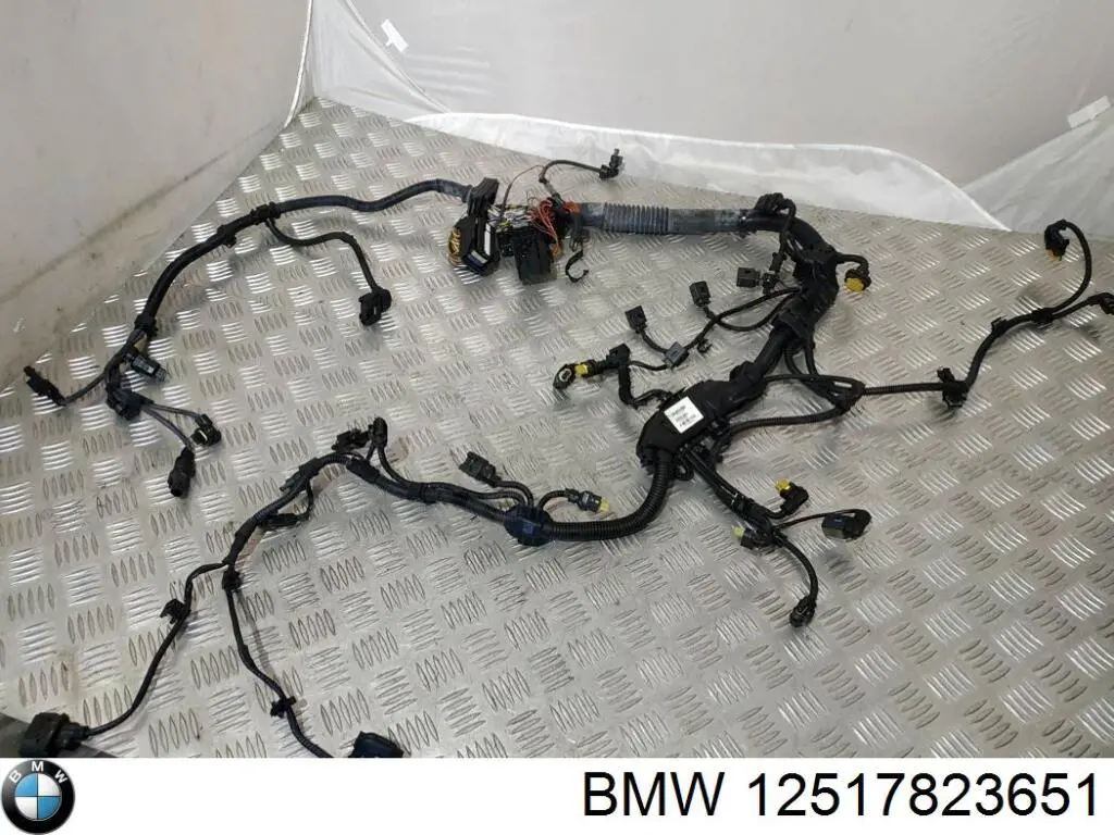 Купити 12517823657 BMW Джгут проводів моторного відсіку
