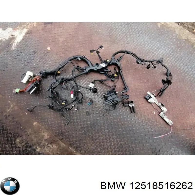 12518516262 BMW Електропроводка моторного віддсіка