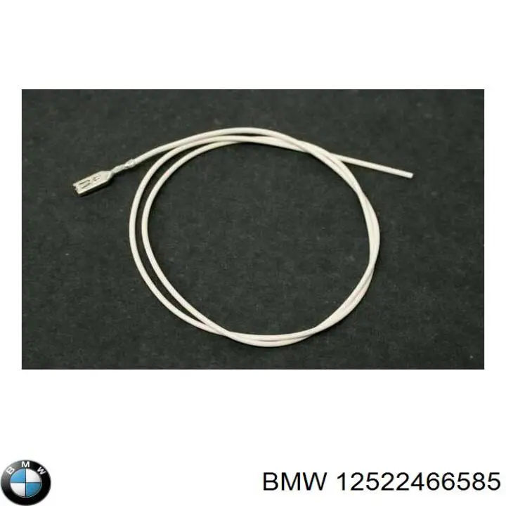 12520007171 BMW 