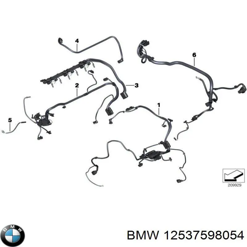 12537598051 BMW 