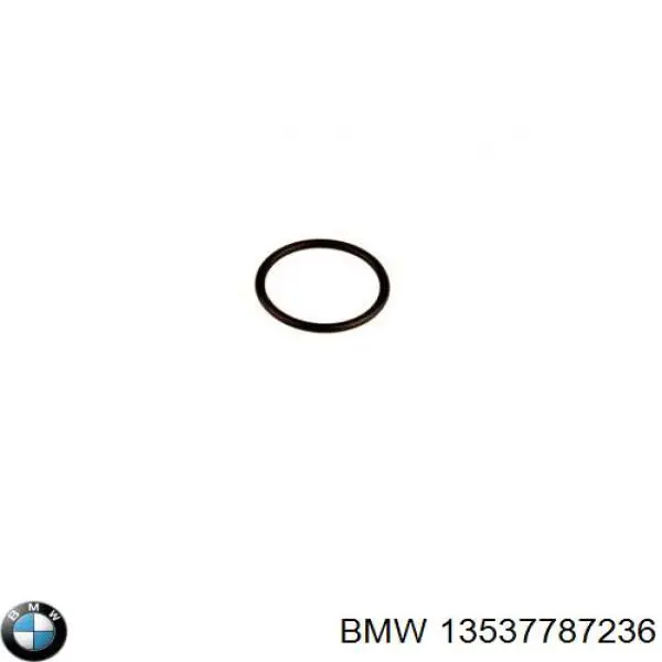 Купити 13537787236 BMW Кільце форсунки