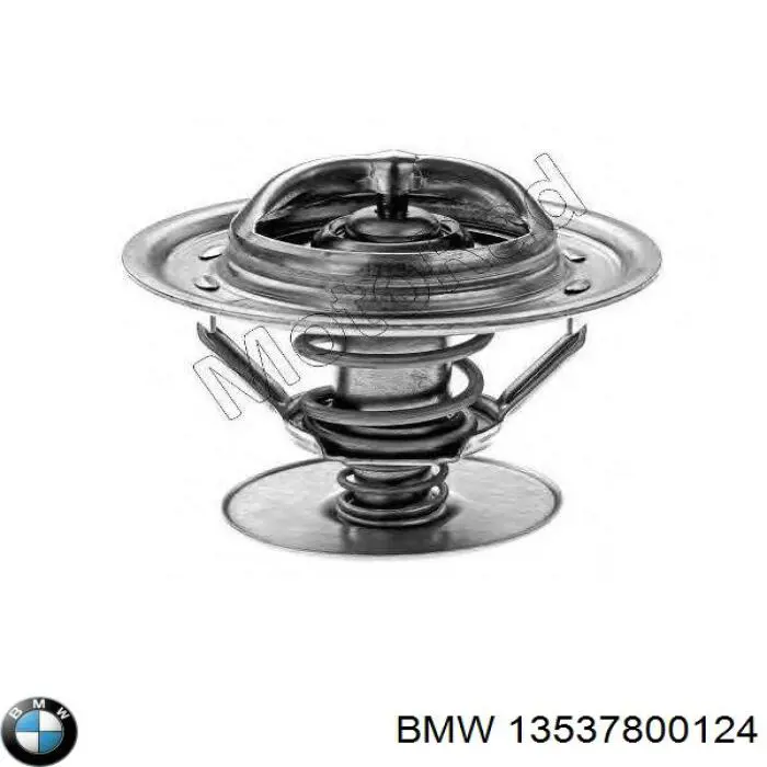 Рампа форсунок системи упорскування палива BMW 0445216031 ціна, від 38.01 USD