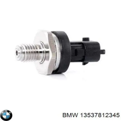 13537812345 BMW Манометри