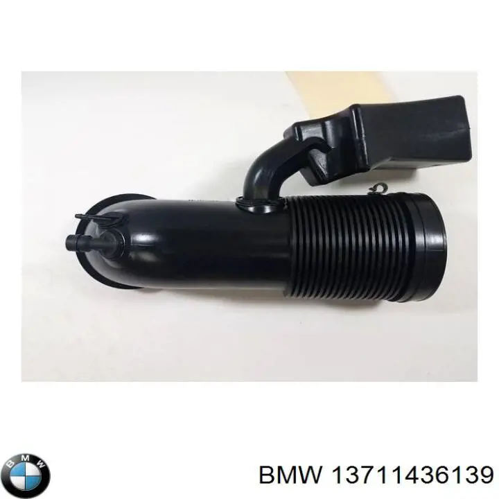 13711436139 BMW 