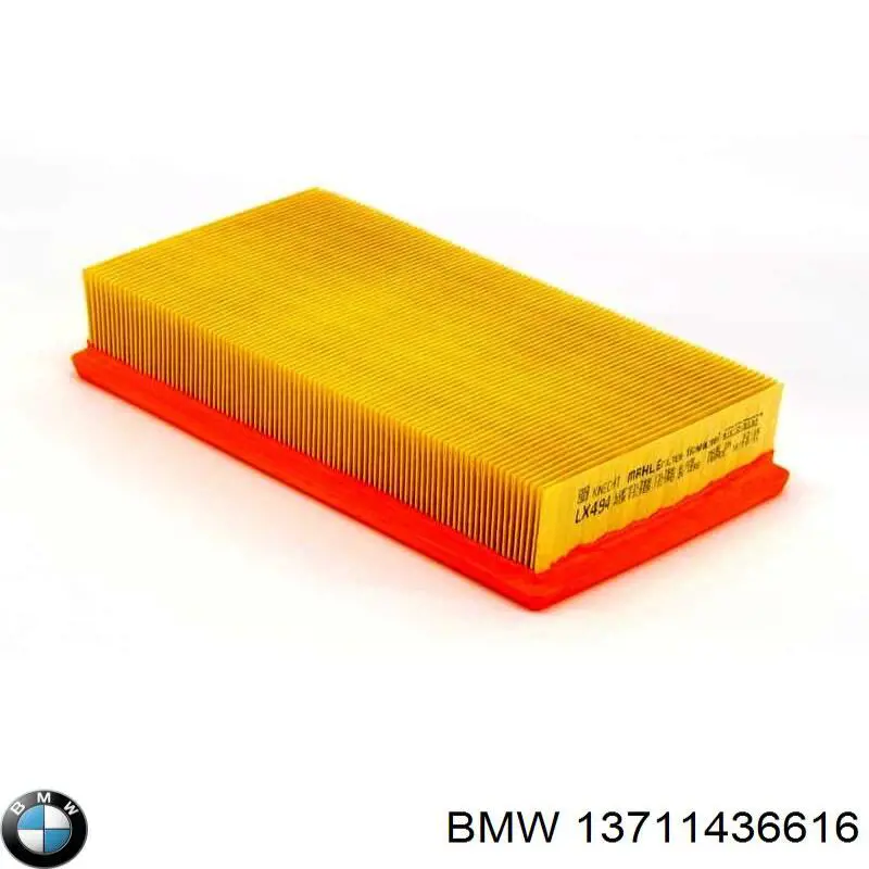 13711436616 BMW 