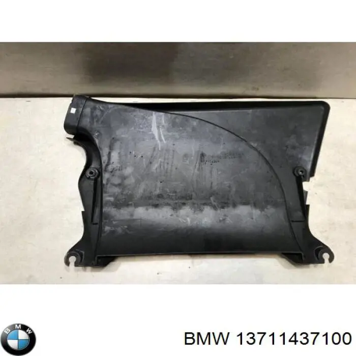Повітрозабірник повітряного фільтра на BMW X5  E53
