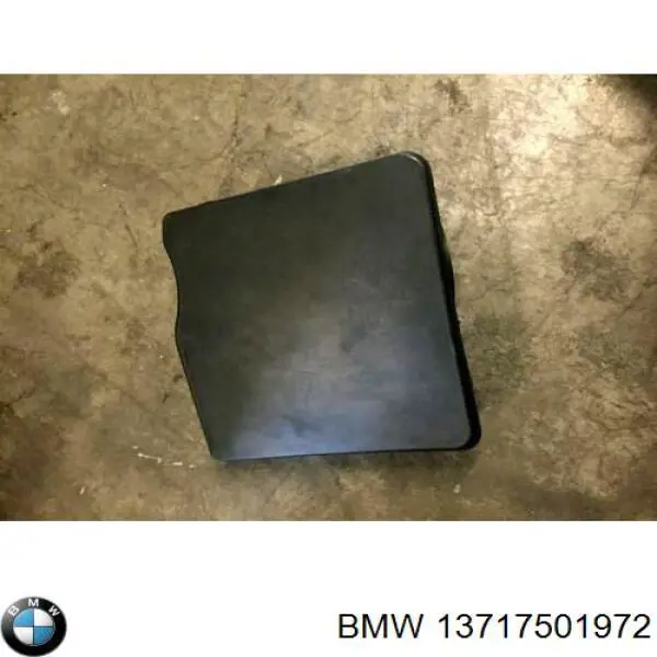 13717501972 BMW Коробка фільтра