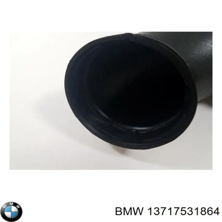 13717531864 BMW 