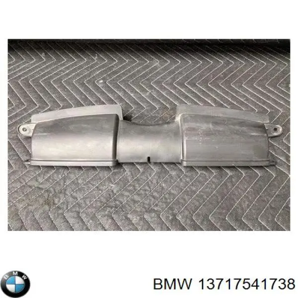 Повітроприймач на BMW 3 (E90)
