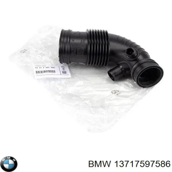 Купити 13717597586 BMW Патрубок повітряний, вихід повітряного фільтра