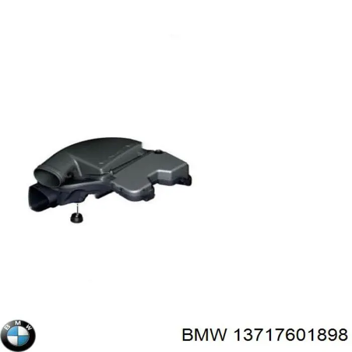Купити 13717601898 BMW 