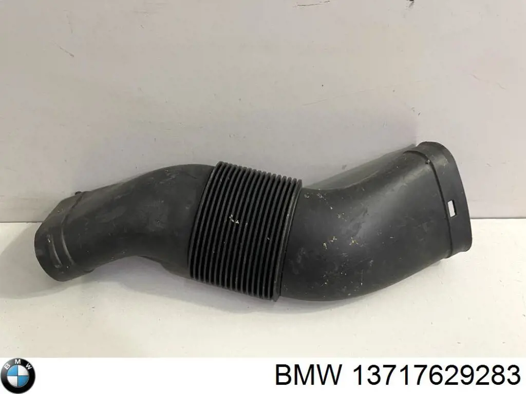 Купити 13717629283 BMW Повітрозабірник повітряного фільтра