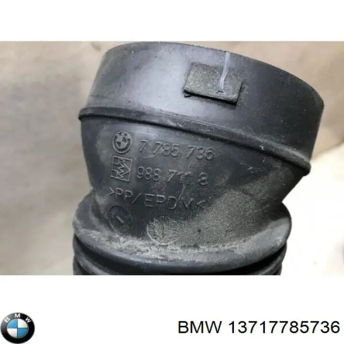 13717785736 BMW 