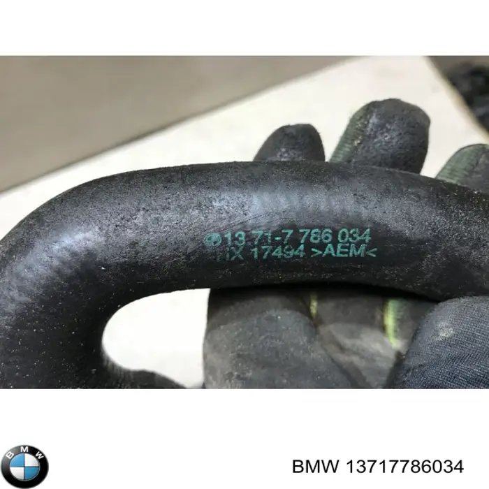 Купити 13717786034 BMW Шланг (патрубок) обігріву дросельної заслінки