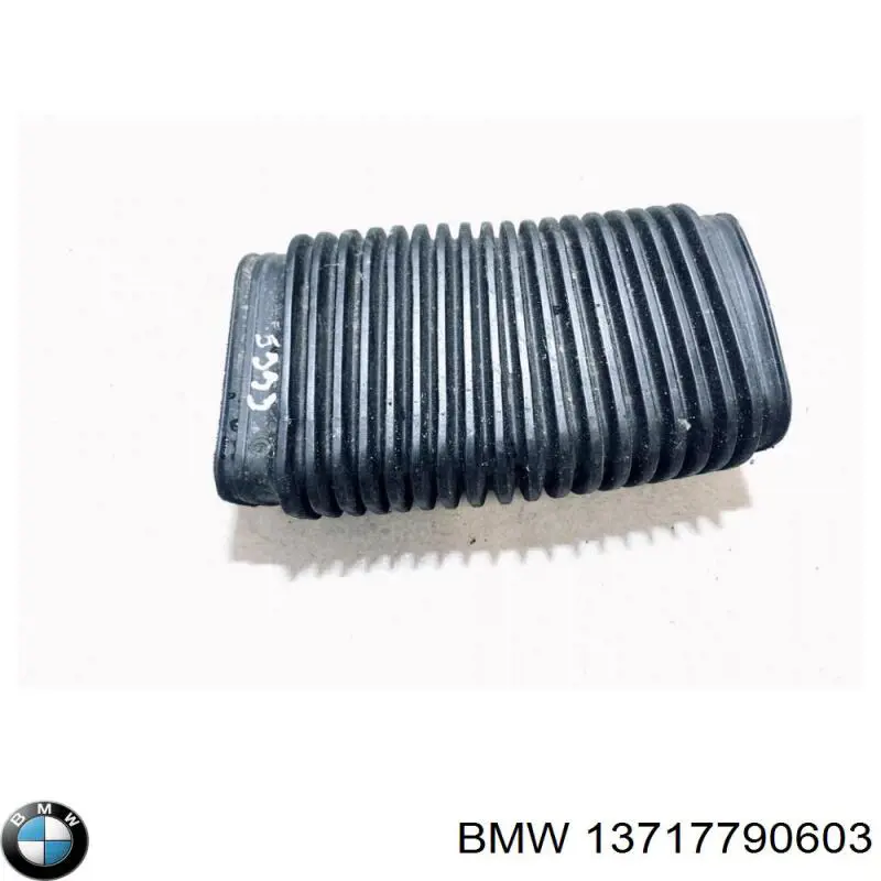 Купити 13717790603 BMW 