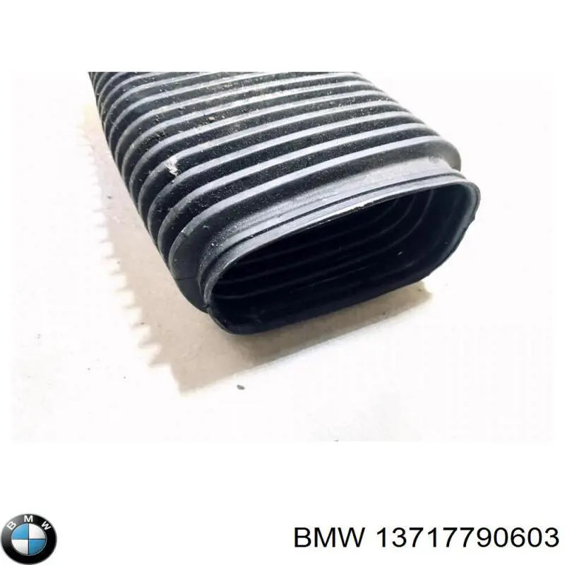 13717790603 BMW 