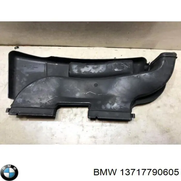 Кришка двигуна декоративна 13717790605 BMW