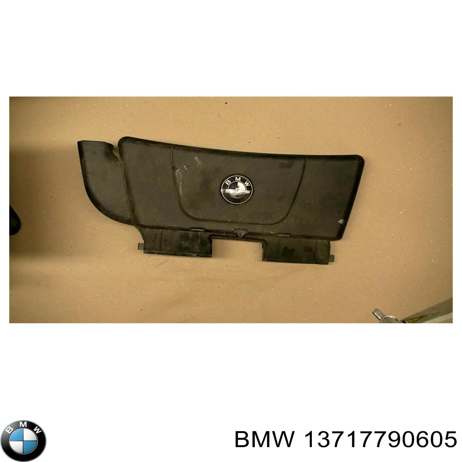 13717790605 BMW Екран двигуна