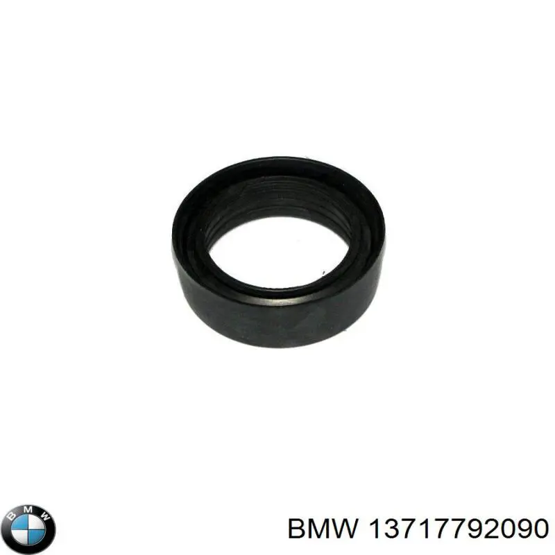 Прокладка турбіни нагнітаючого повітря, прийом BMW 13717792090