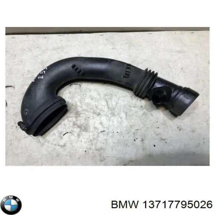 13717795026 BMW 