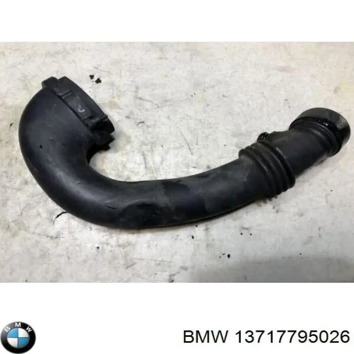  BMW 13717795026 ціна, від 19.32 USD