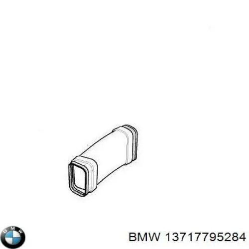13717795284 BMW патрубок повітряний, вхід повітряного фільтра