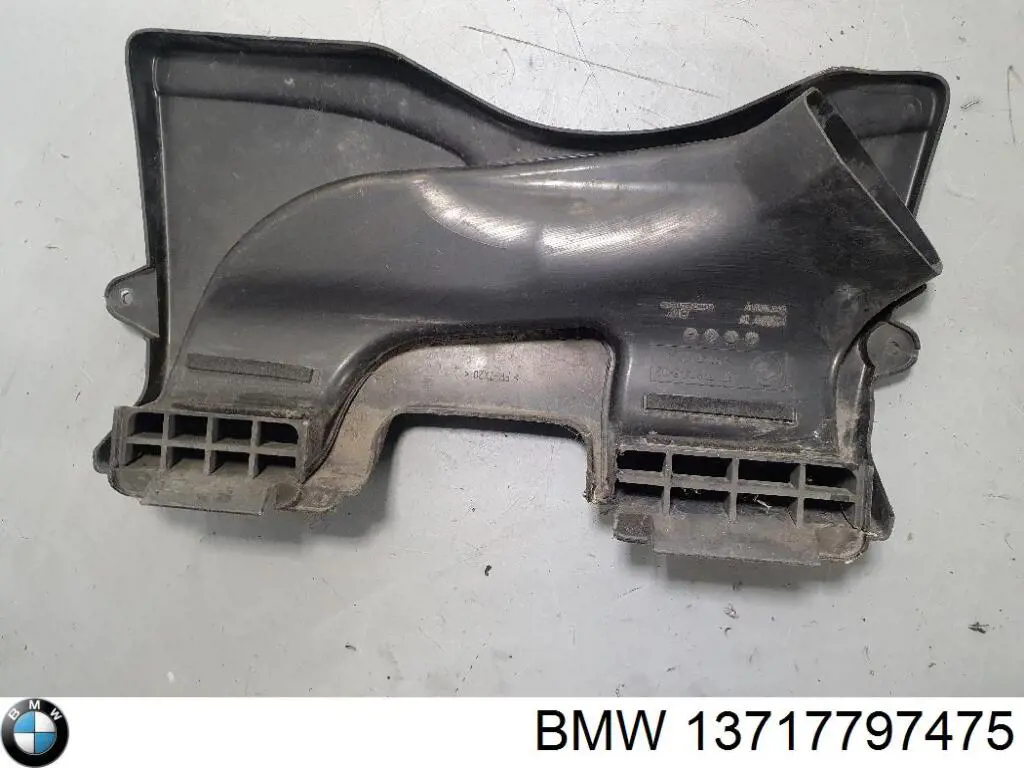 Кришка двигуна декоративна BMW 13717797475 ціна, від 44.02 USD