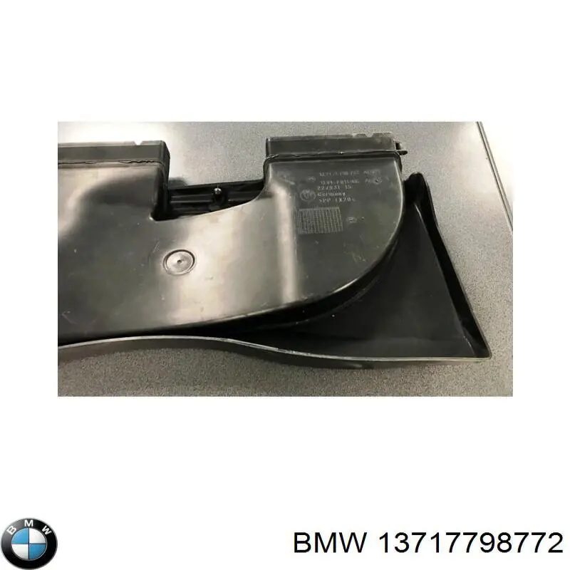 13717798772 BMW Екран двигуна