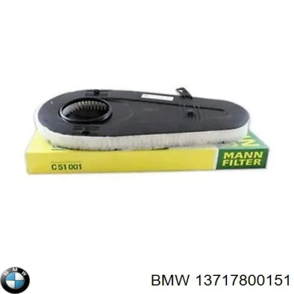 Купити 13717800151 BMW Автомобільний фільтр повітря