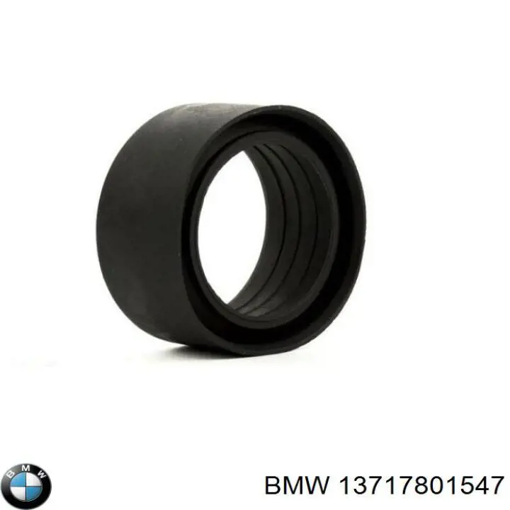 Купити 13717801547 BMW Патрубок витратоміра повітря
