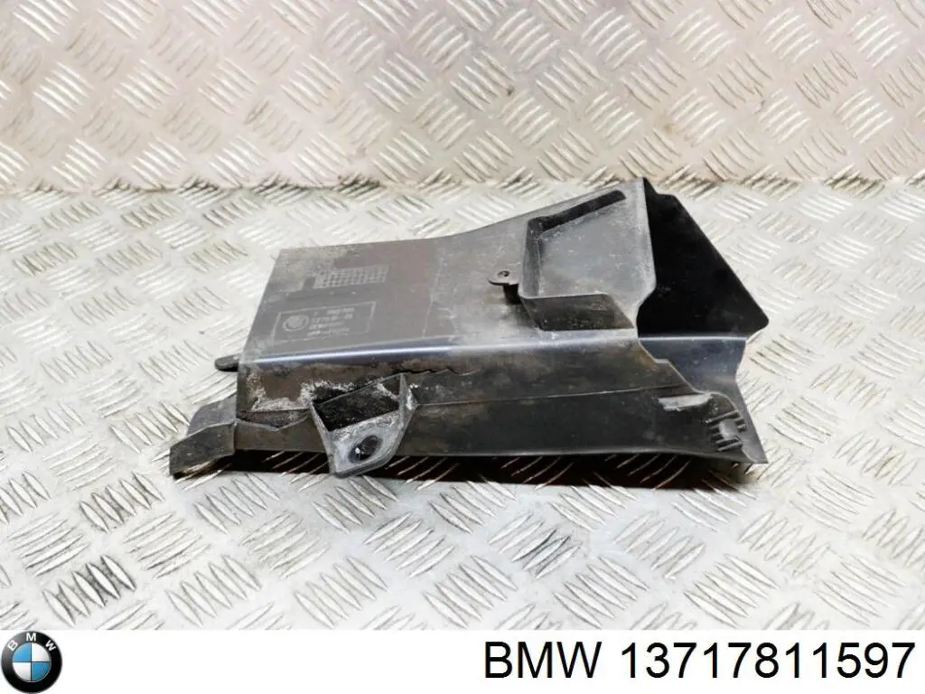 Патрубок повітряний, вхід повітряного фільтра BMW 13717811597